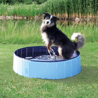 Piscina Plegable para Mascotas