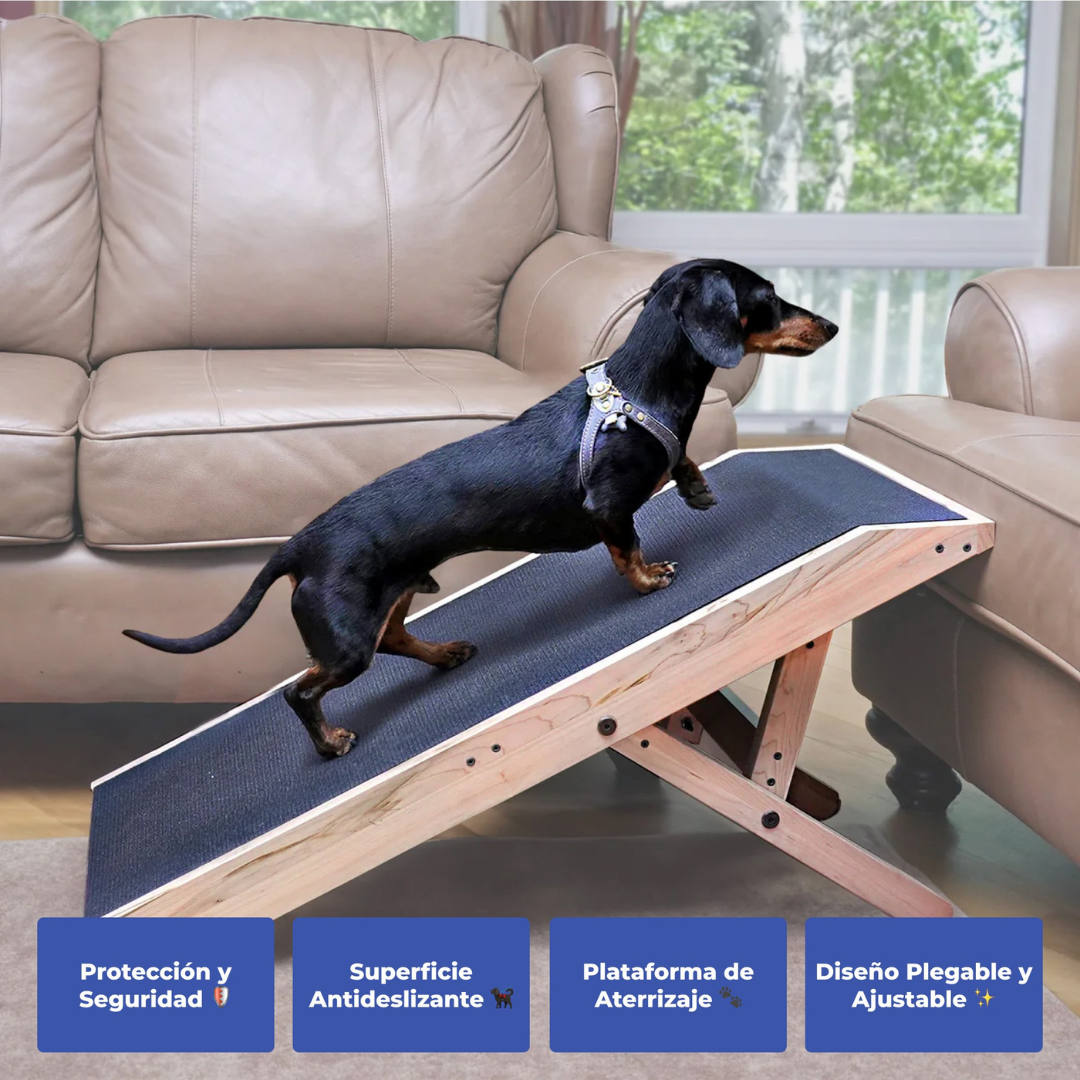 Rampa para Perros
